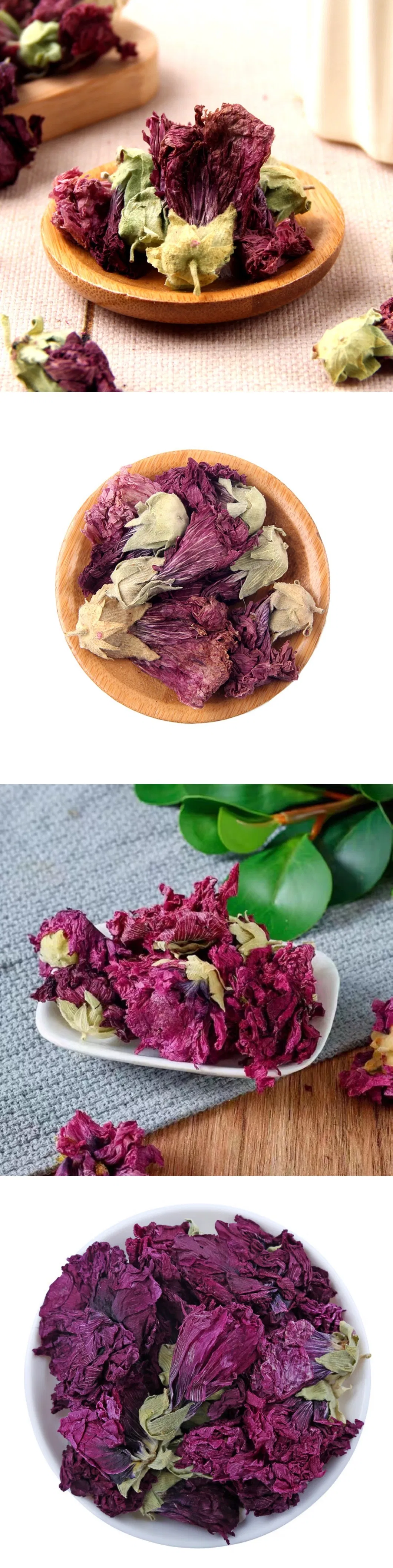 Wholesale Chinese Herbal Zi Luo LAN Natural Dried Matthiola Incana Violet Flower Tea