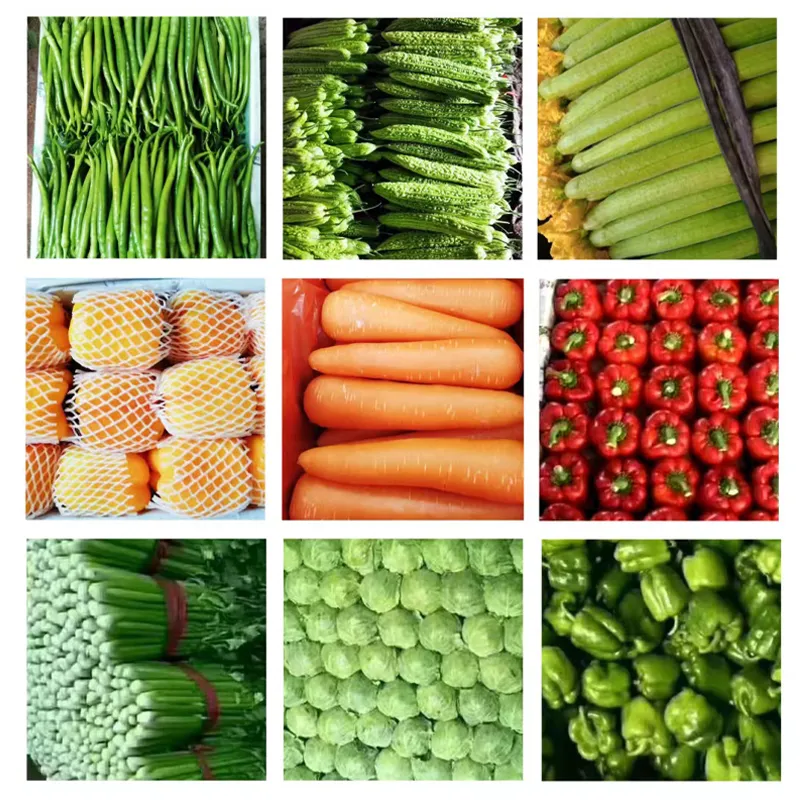 Low Price High Quality Fresh Kiwi Fruit