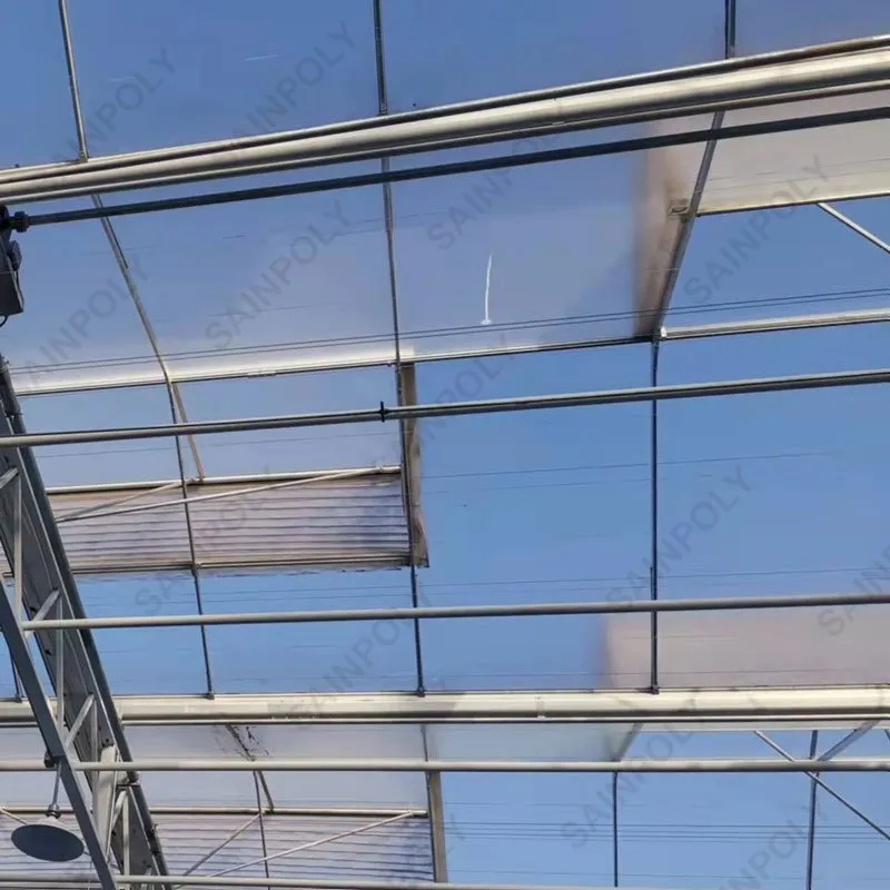 Morden Frame Structure Innovative Greenhouse for Optimal Crop Growth Polycarbonate Greenhouse
