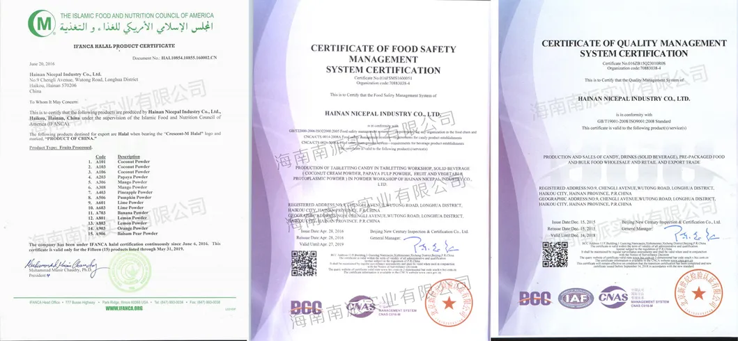 Natural Spray Dried Pineapple Juice Powder / Pineapple Powder/ Pineapple Drink Powder