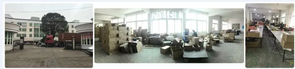 Sticky Traps for White Flies Aphids Leaf Miner