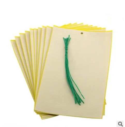 Sticky Traps for White Flies Aphids Leaf Miner