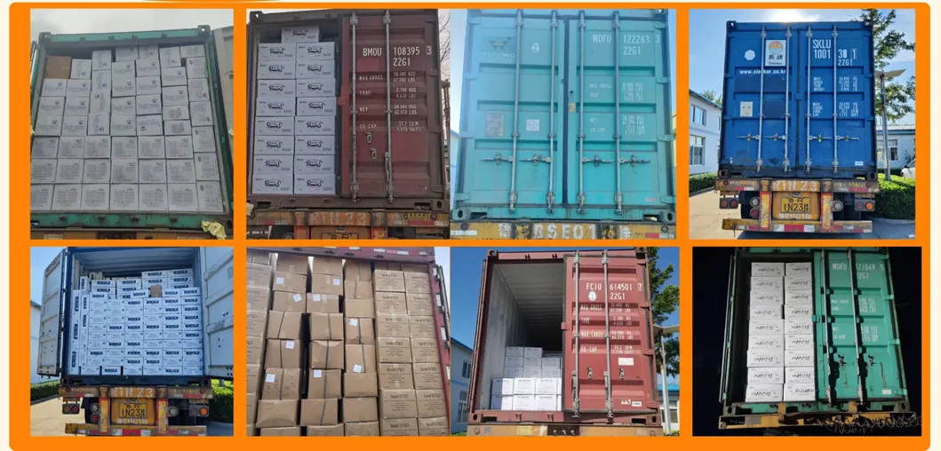 Rich Protein Tuna Chicken Flavor Filled Crisp Treats Dog Cat Pet Food