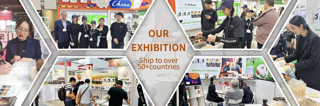 Diabetic Friendly Low Calorie Low Sugar Egg Free High Protein Soy Spaghetti Pasta