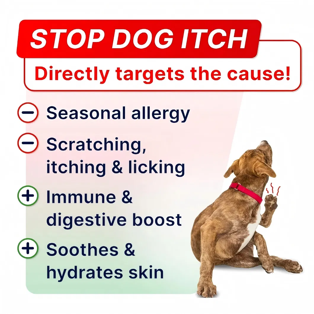 Allergy Chew Dogs Skin and Coat Health Seasonal Allergy Itch Relief Pet Supplement OEM