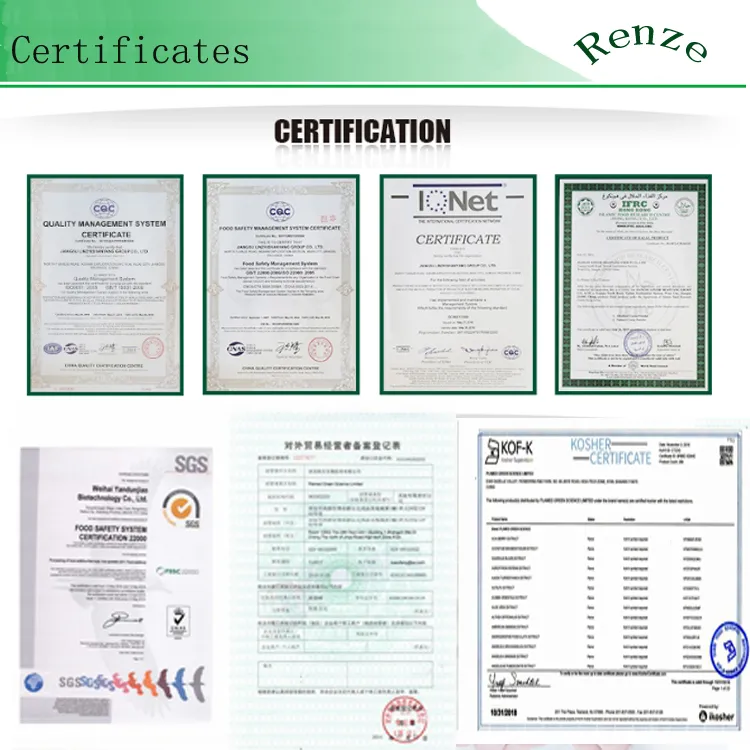 Wholesale Premium Milk & Dark Chocolate Chips for Baking, Cookies & Desserts