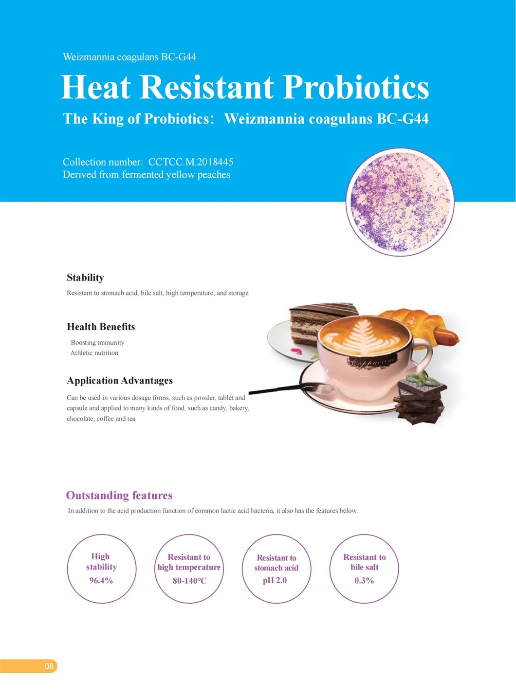 Non-GMO High Potency Probiotic Solution for H. Pylori