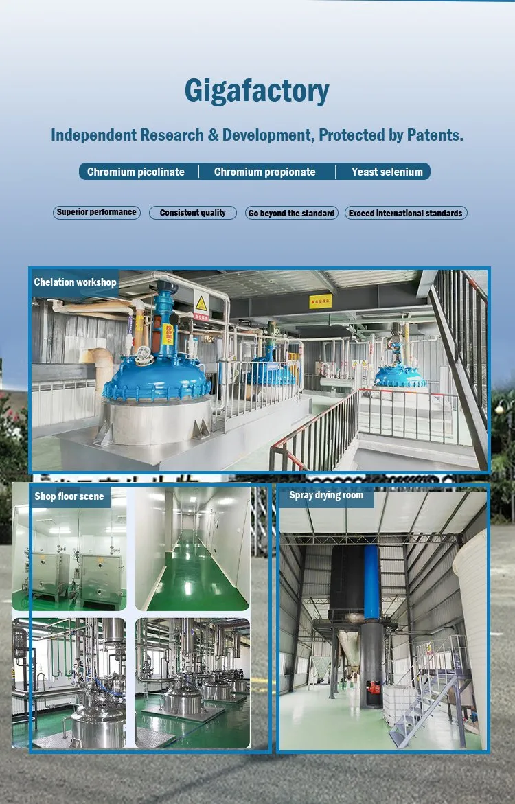 98% Chromium Picolinate 14639-25-9 General Reagent for Organic Chemical Raw Material Intermediates