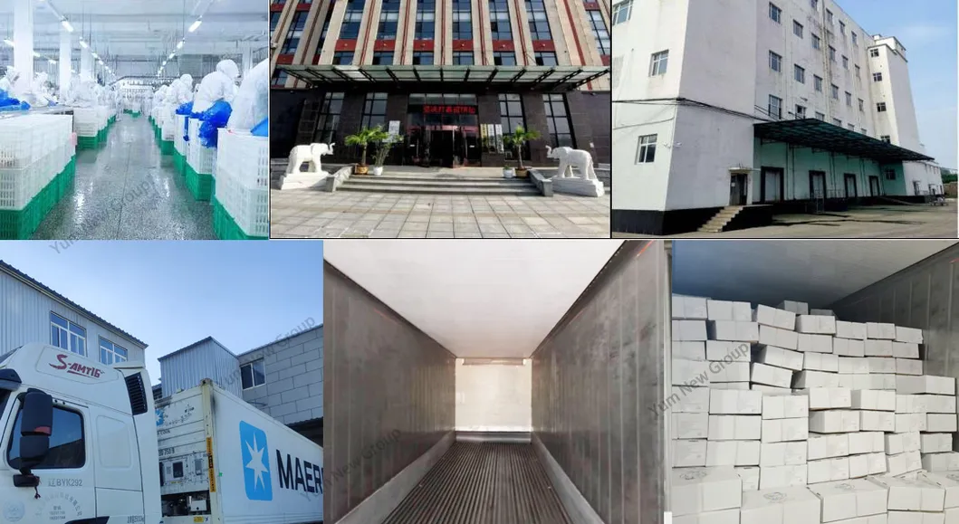 Fd Beef with Square Dice Human Food Freeze Dried Dry Food Suppiler