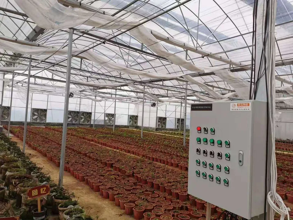 Multi Span Intelligent Glass Green House with Automatic Ventilation and Temperature Control System