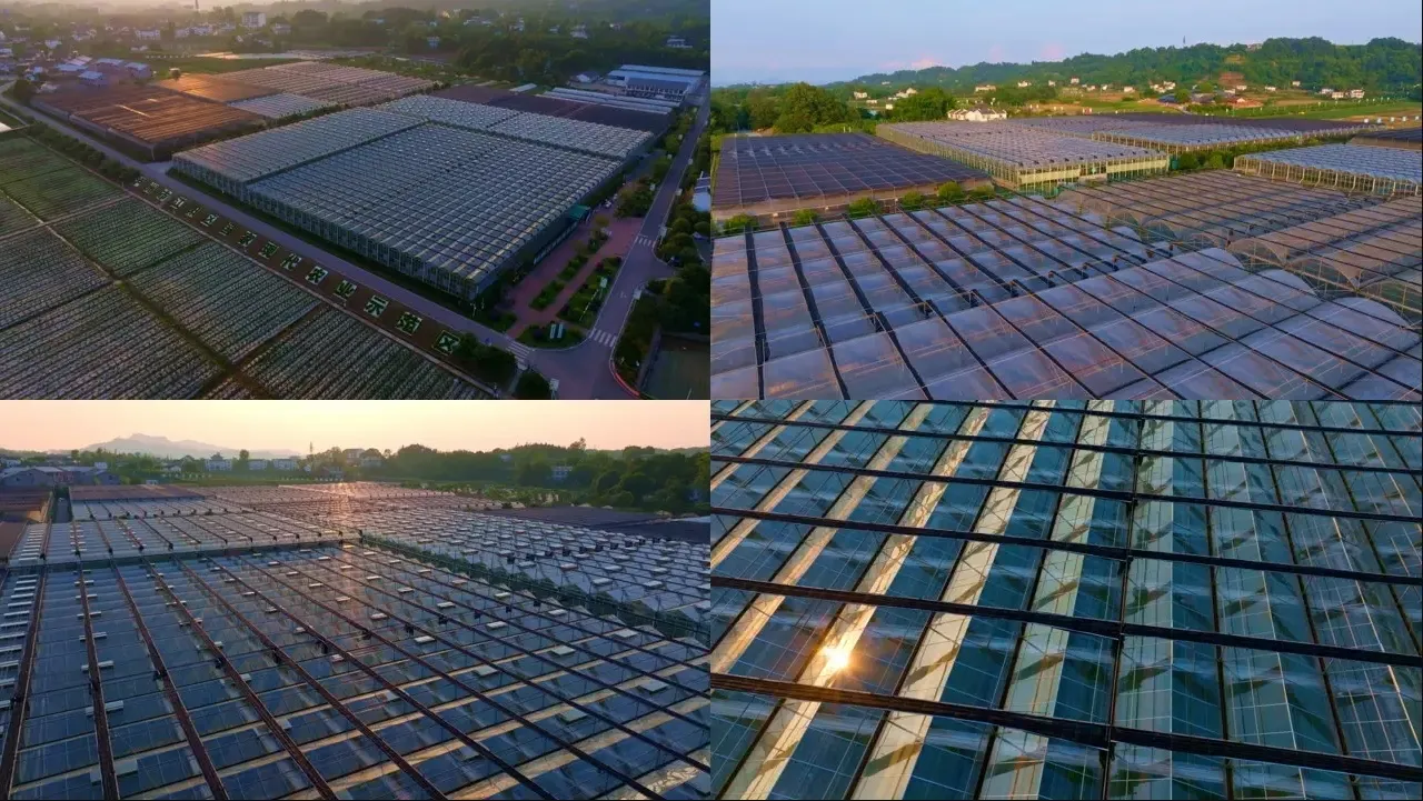 Multi Span Intelligent Glass Green House with Automatic Ventilation and Temperature Control System