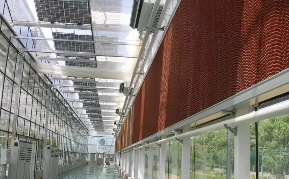 Multi Span Intelligent Glass Green House with Automatic Ventilation and Temperature Control System