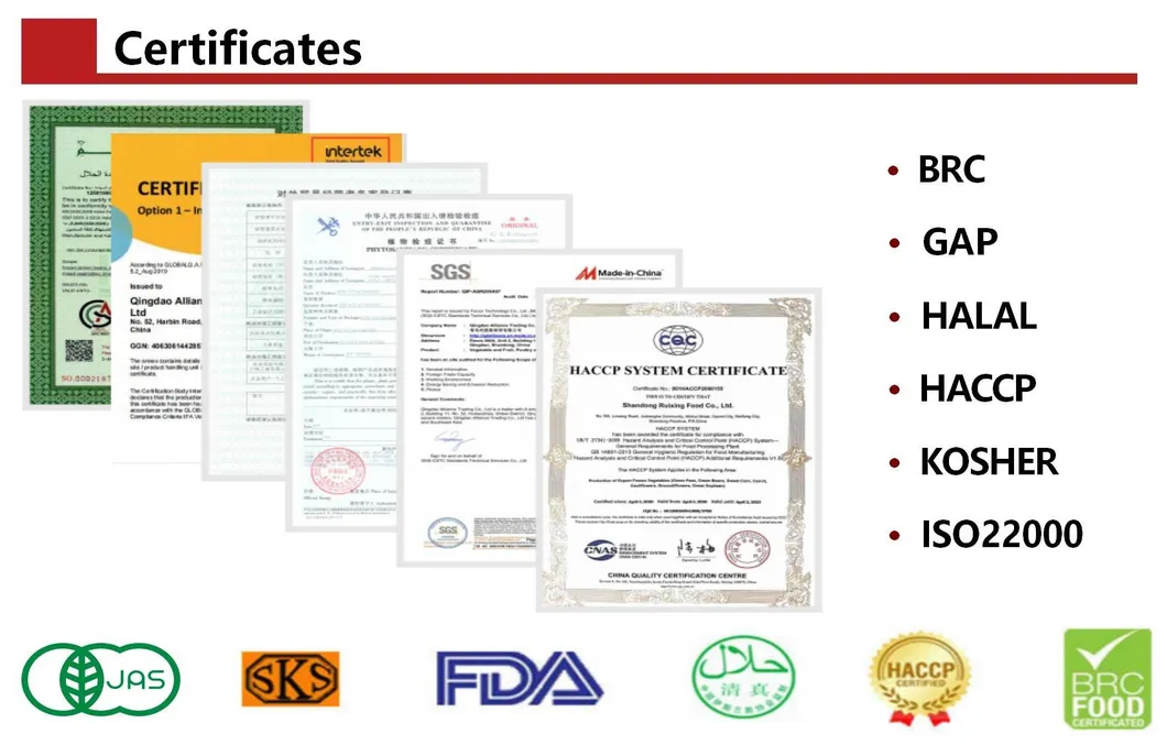 Premium Halal Chicken Patties for Savory Meal Solutions