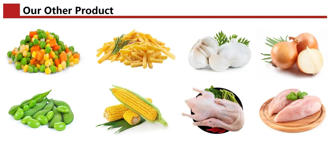 Premium Halal Chicken Patties for Savory Meal Solutions