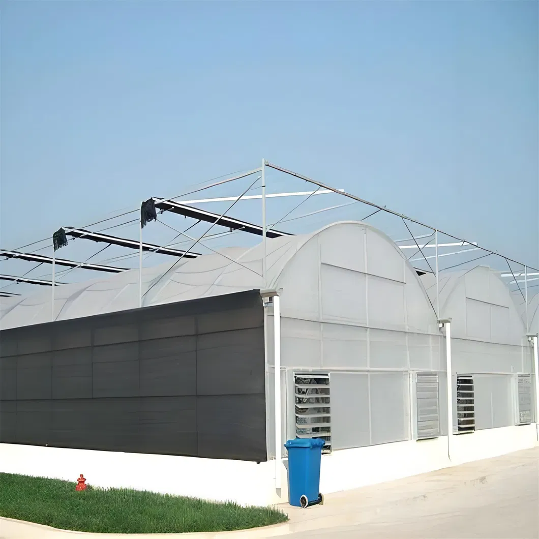 Reliable Quality Film Greenhouse, Greenhouse Size Can Be Infinitely Expanded