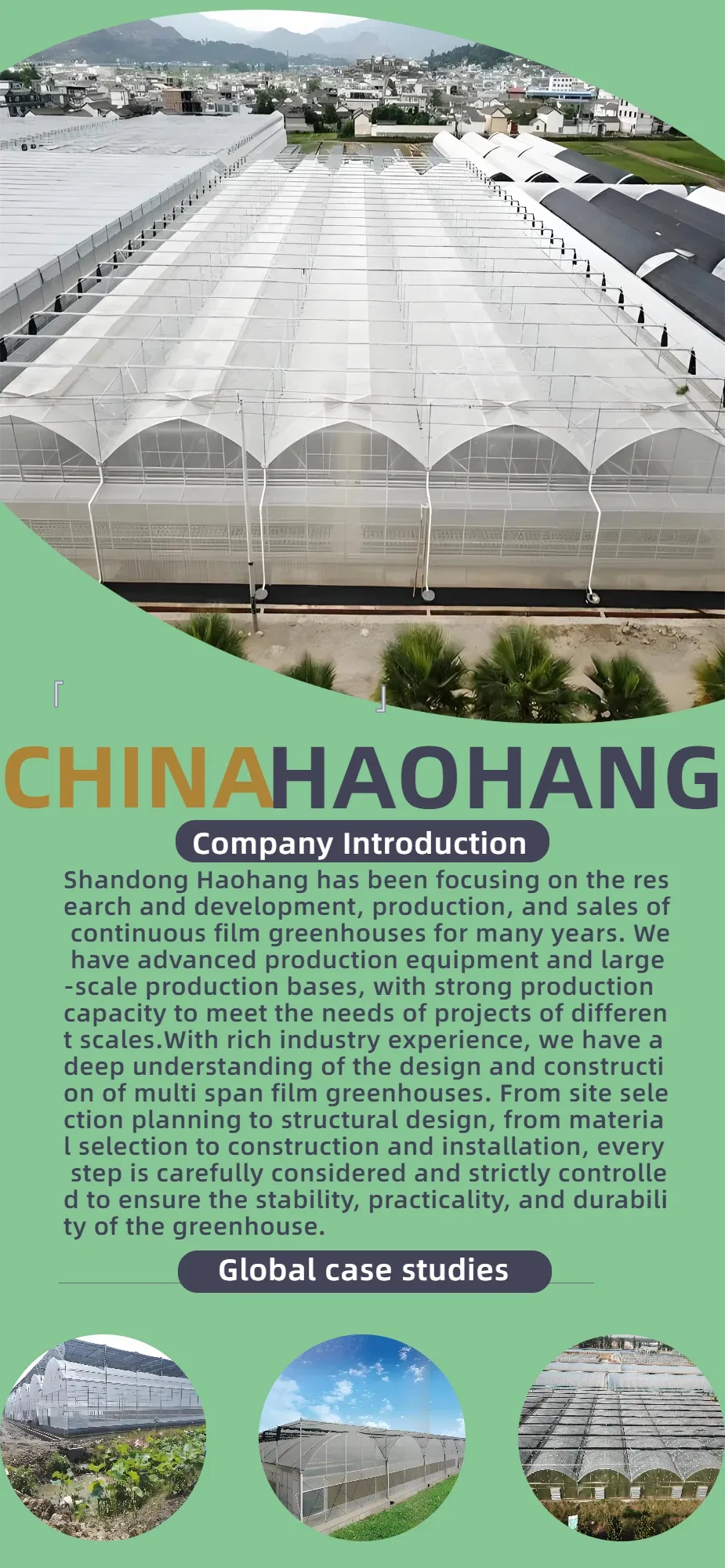 Reliable Quality Film Greenhouse, Greenhouse Size Can Be Infinitely Expanded
