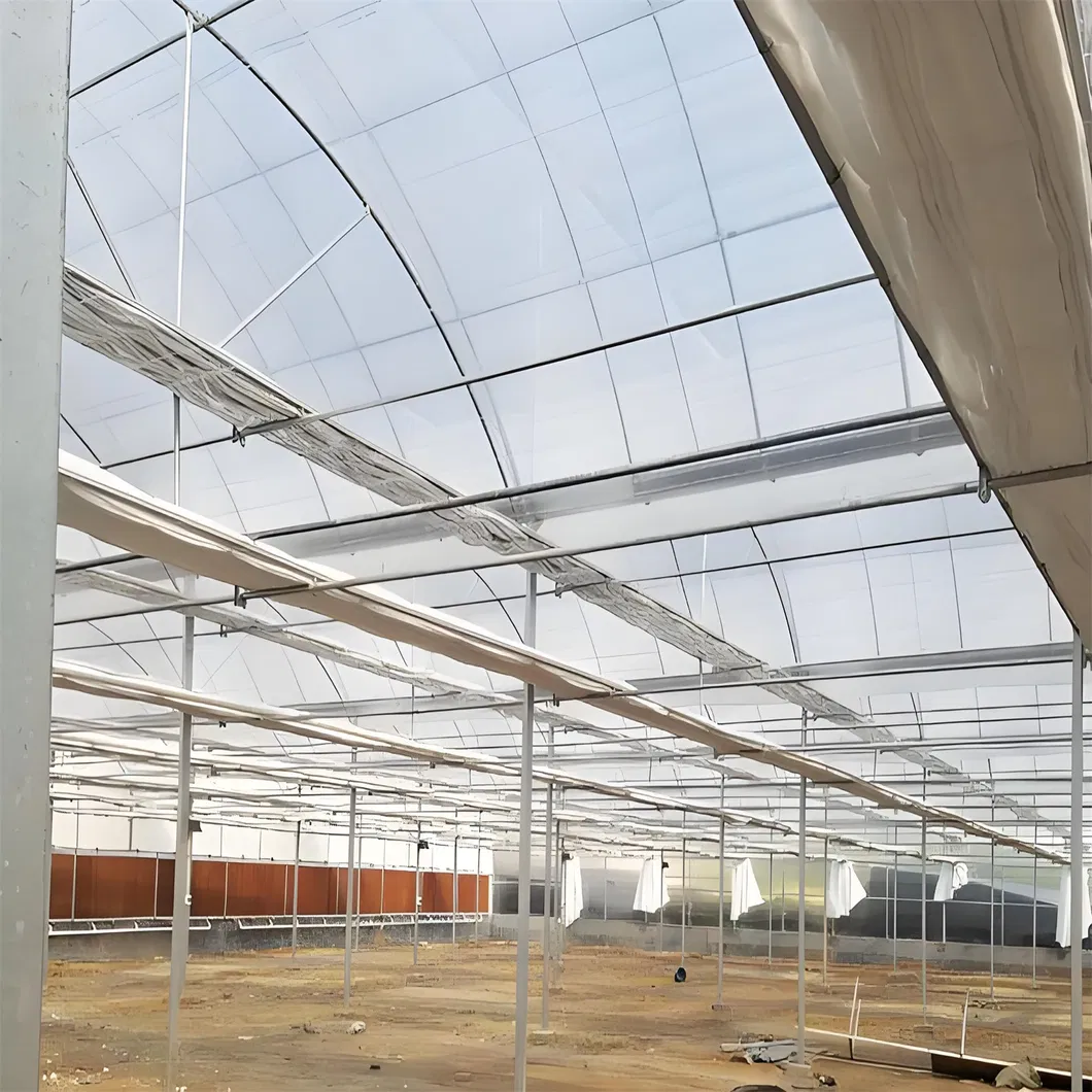 Reliable Quality Film Greenhouse, Greenhouse Size Can Be Infinitely Expanded