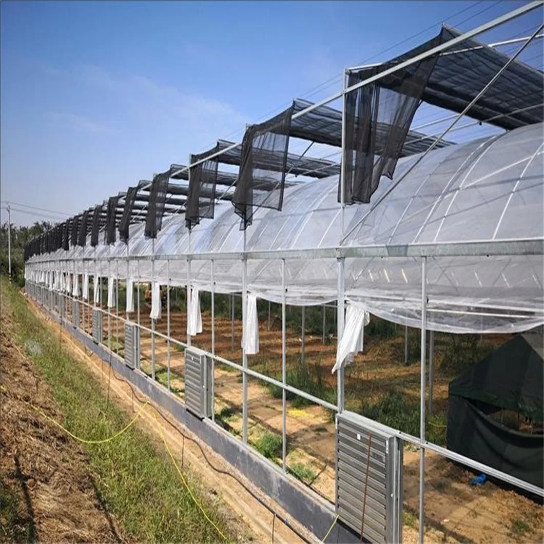 Reliable Quality Film Greenhouse, Greenhouse Size Can Be Infinitely Expanded