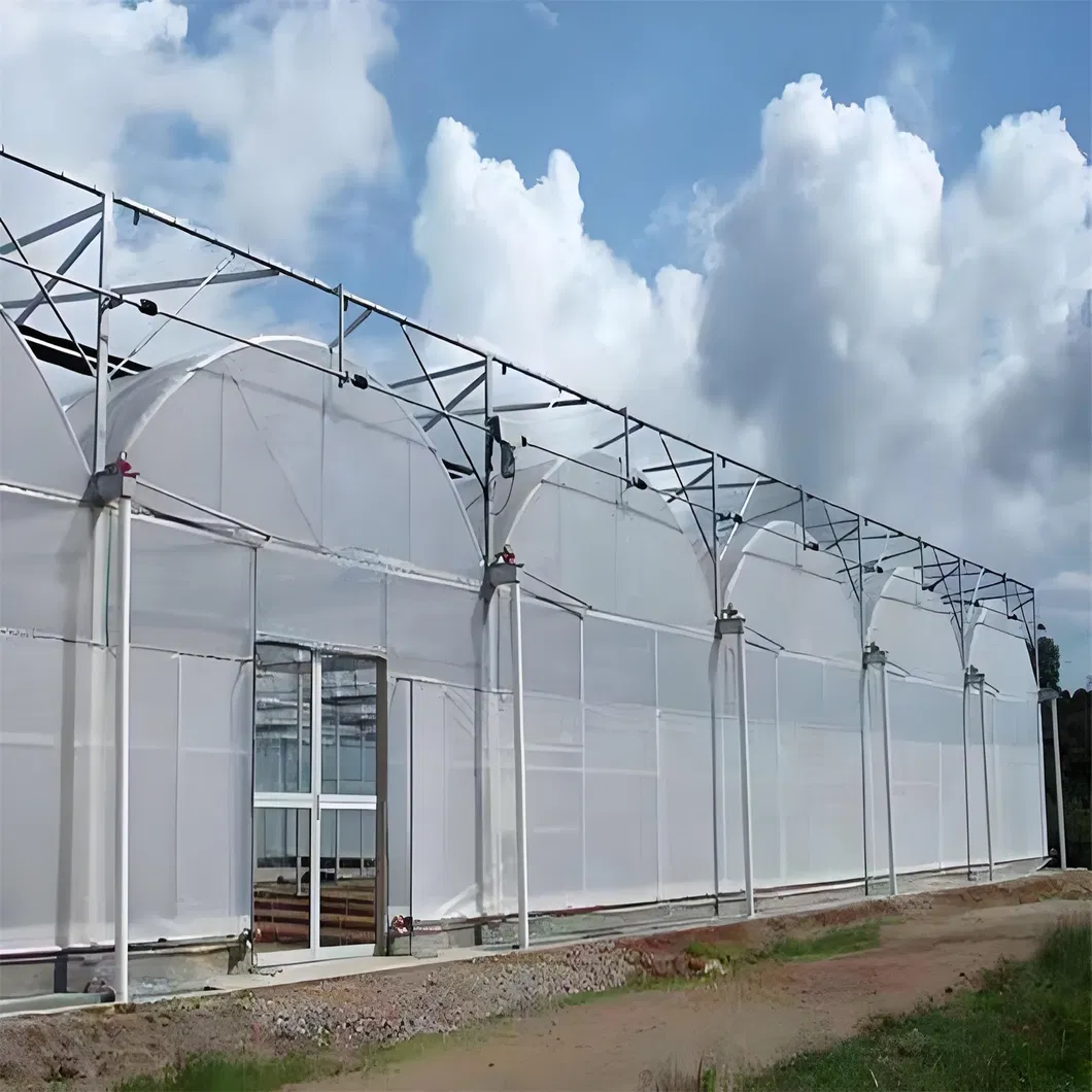 Reliable Quality Film Greenhouse, Greenhouse Size Can Be Infinitely Expanded