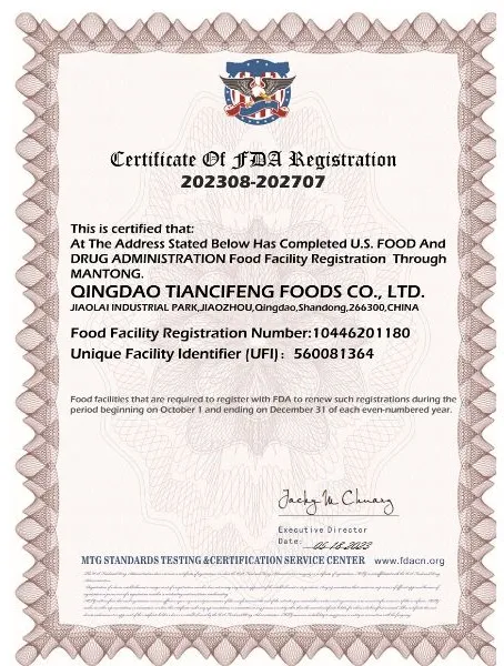 Premium Asta Paprika Powder - Fumigation Certificate Included