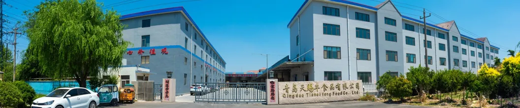 Premium Asta Paprika Powder - Fumigation Certificate Included