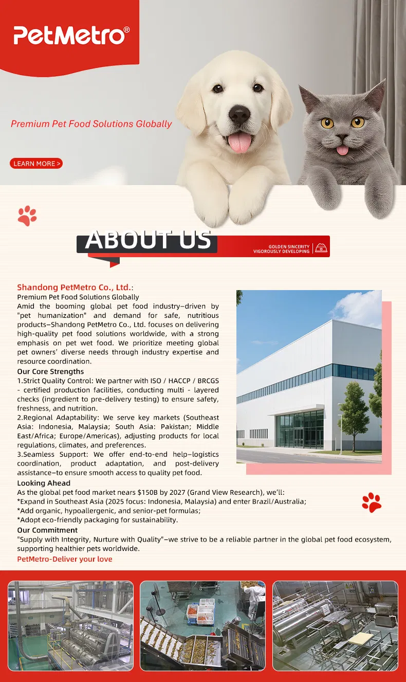 Bulk Packed Wet Cat Meal with Pure Natural Ingredients Chunk Gravy Pouch