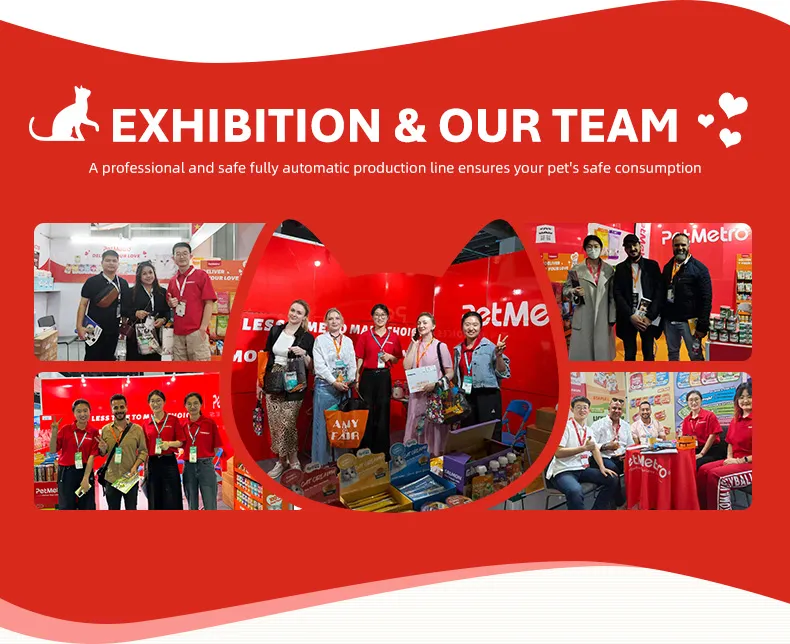 Bulk Packed Wet Cat Meal with Pure Natural Ingredients Chunk Gravy Pouch