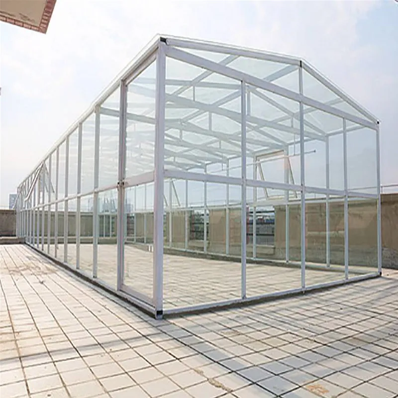 Cheap Large 10m Insulated Aluminium Profile Green House Metal Frame Singlespan China Tomato Agriculture Greenhouse