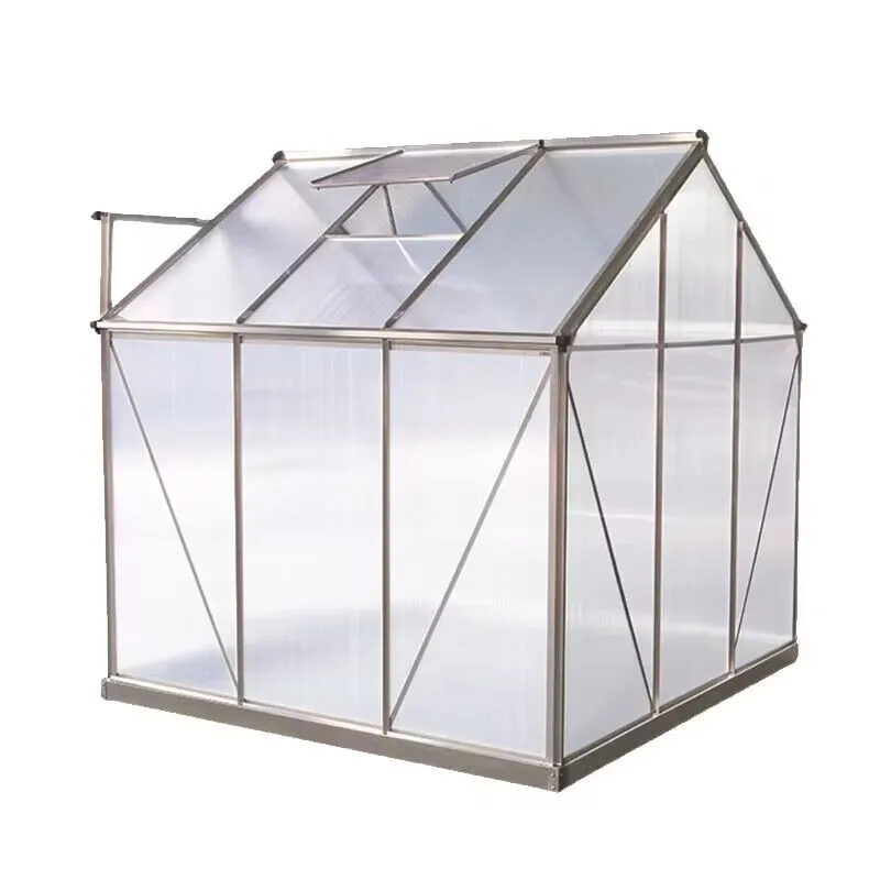 Cheap Large 10m Insulated Aluminium Profile Green House Metal Frame Singlespan China Tomato Agriculture Greenhouse