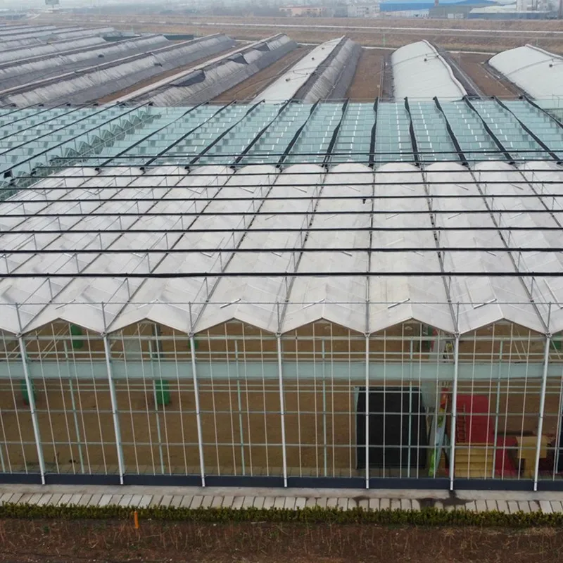Cheap Large 10m Insulated Aluminium Profile Green House Metal Frame Singlespan China Tomato Agriculture Greenhouse