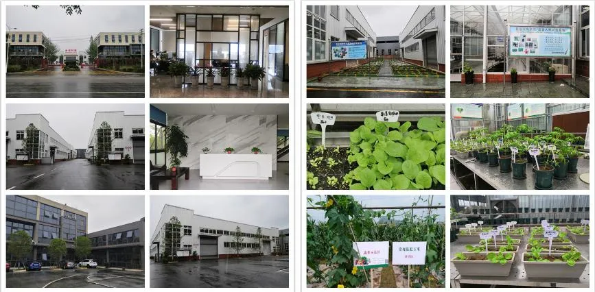 Advanced Hydrolyzed Amino Acid Blend Powder 80% for Agricultural Success