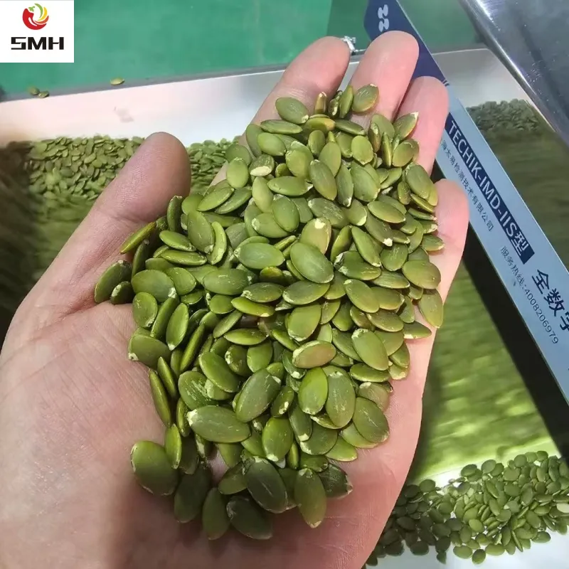 New Harvested China Pumpkin Seeds Kernel in Low Price