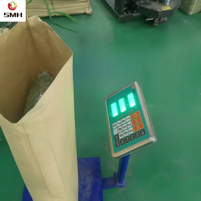 New Harvested China Pumpkin Seeds Kernel in Low Price