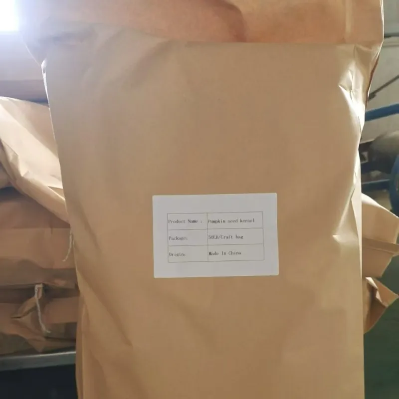 New Harvested China Pumpkin Seeds Kernel in Low Price