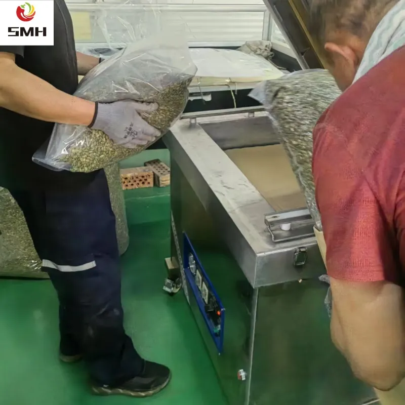 New Harvested China Pumpkin Seeds Kernel in Low Price