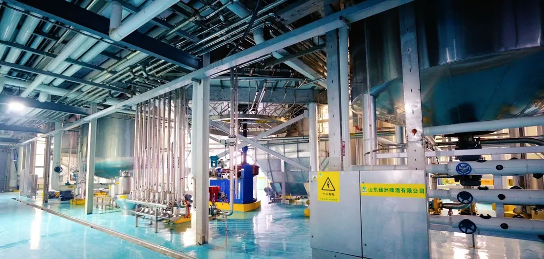 Oasis Craft Ipa, Smooth and Balanced 4.2% Abv, 15° P, 750ml Bottles, ISO9001 & HACCP, 6%Vol Ipa Beer