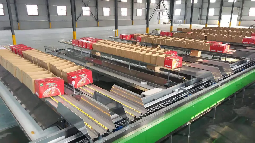 Blush Red Paper Bagged FUJI Fresh Apples