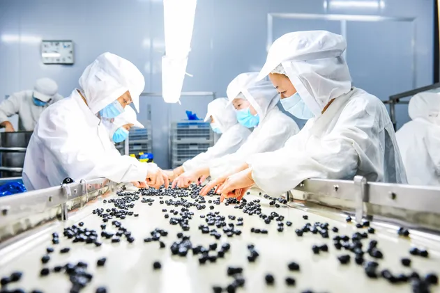 Sweetened Dried Blueberries with Sugar