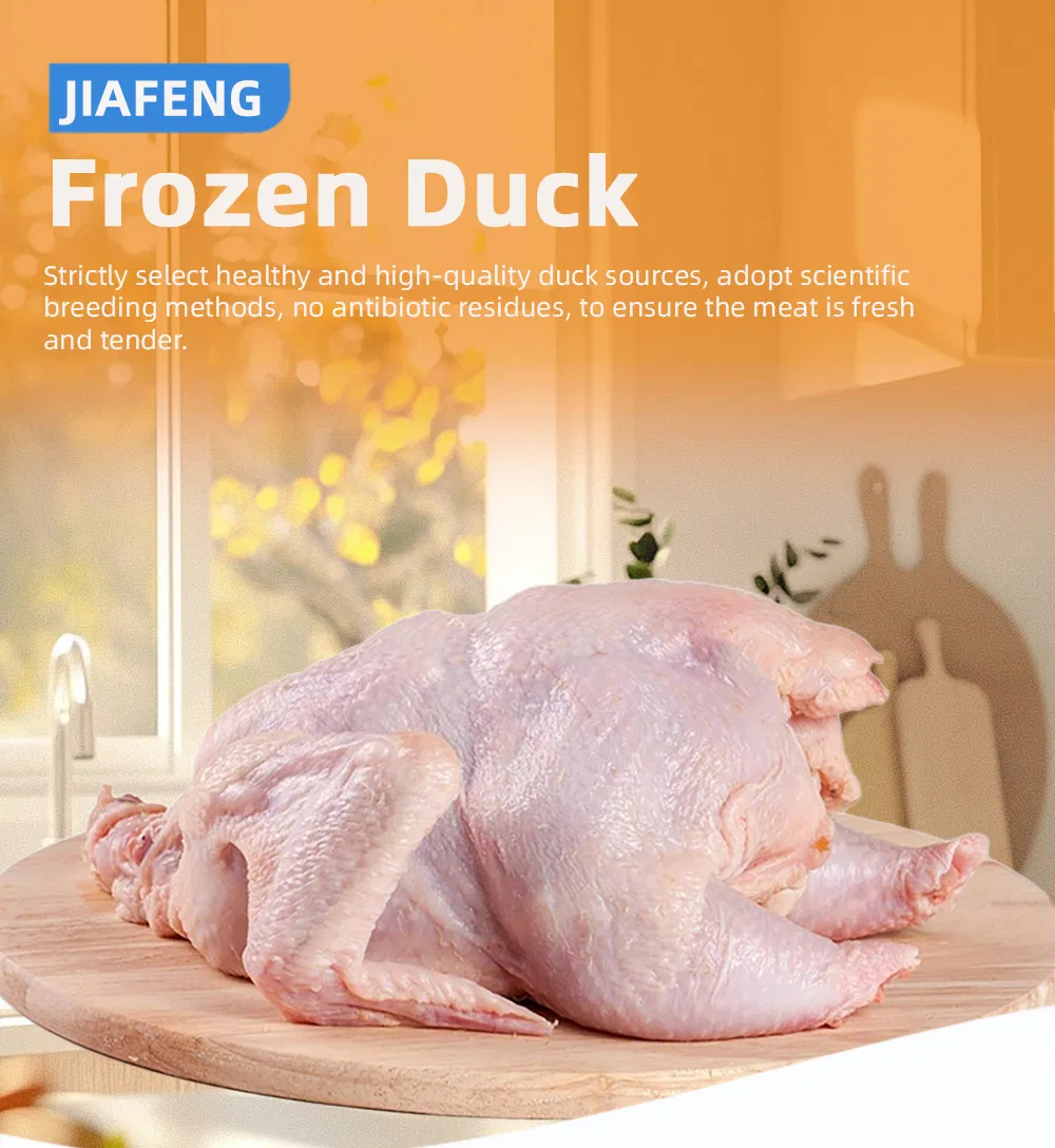 Frozen Whole Duck a for Export Fresh Taste Halal Certified Bulk Supply