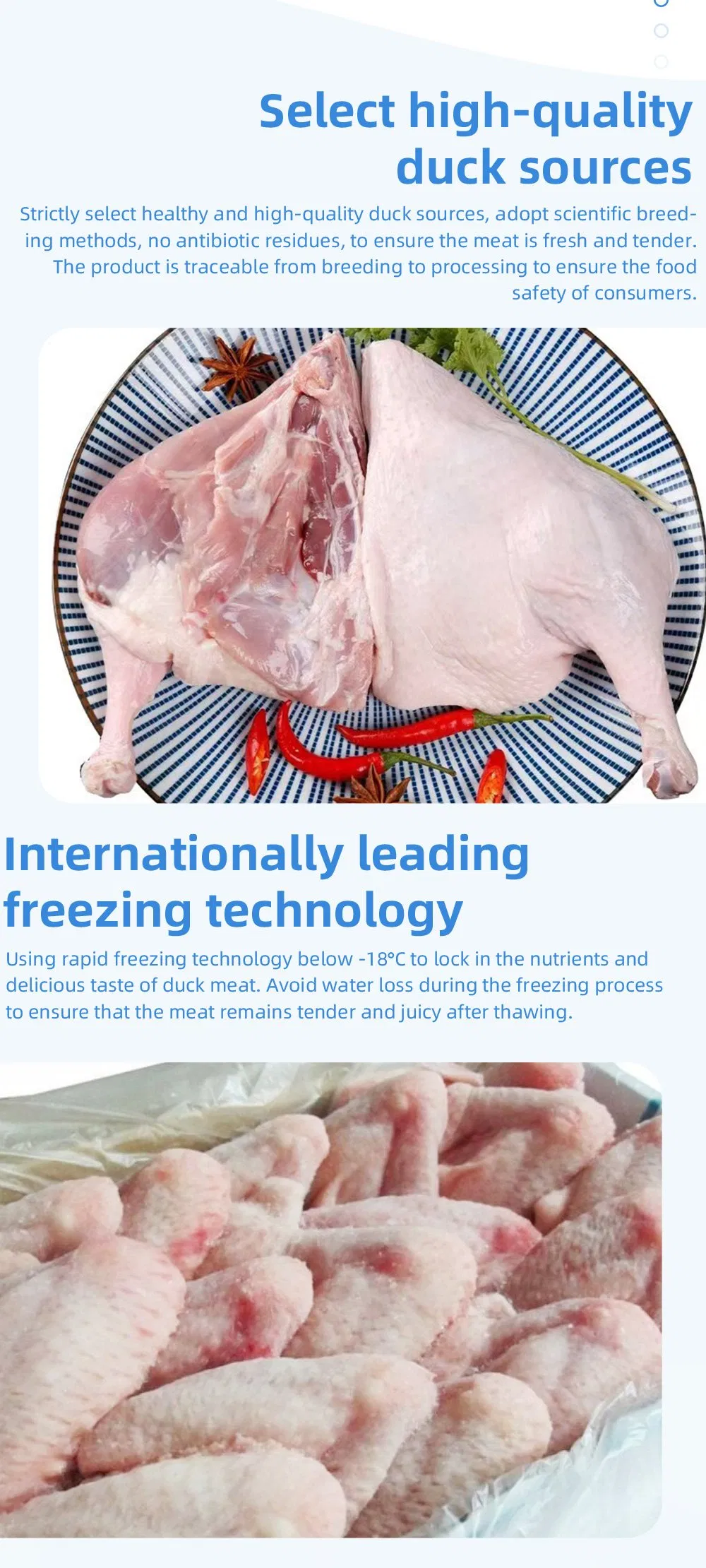 Frozen Whole Duck a for Export Fresh Taste Halal Certified Bulk Supply