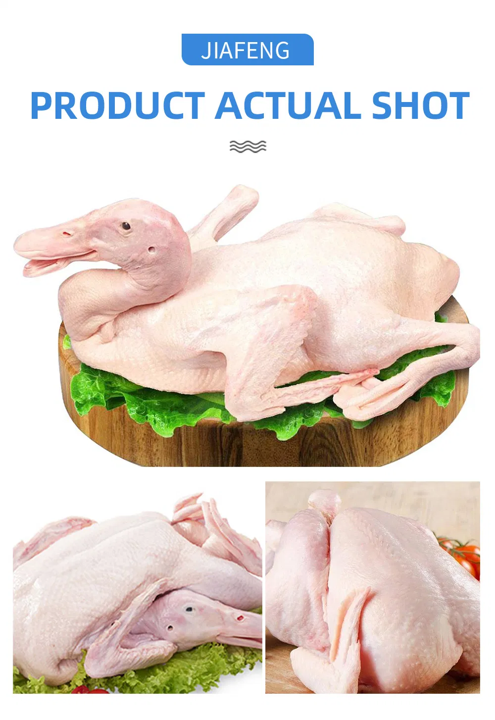 Frozen Whole Duck a for Export Fresh Taste Halal Certified Bulk Supply