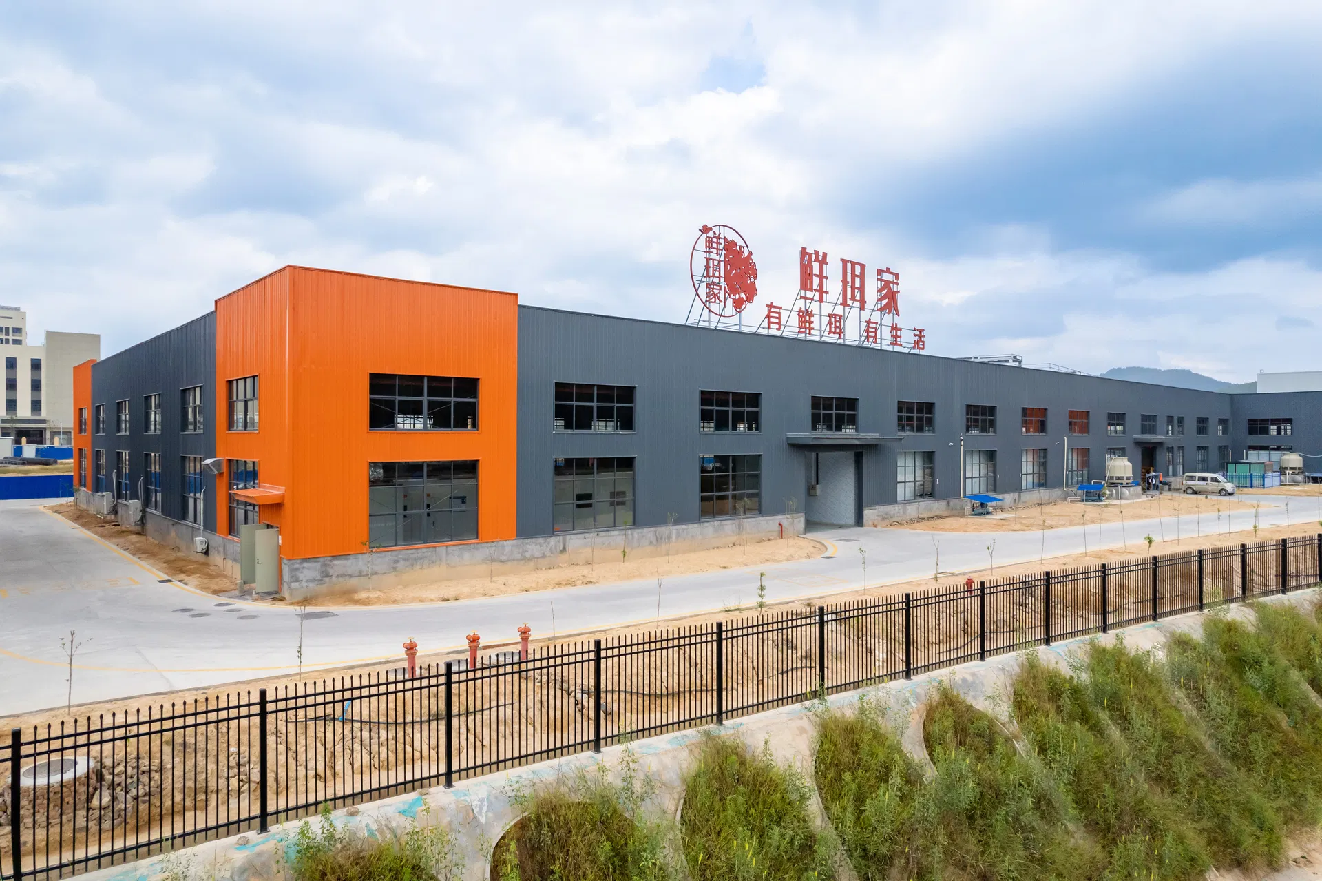 Handpicked Dried Morel Mushrooms for Exquisite Gourmet Dishes