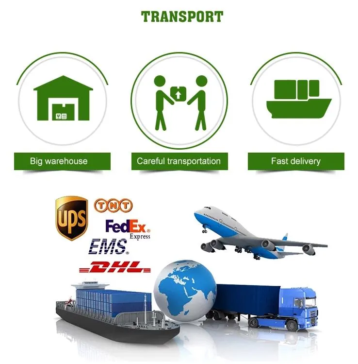 High Quality IQF Frozen Mixed Vegetables with Good Price