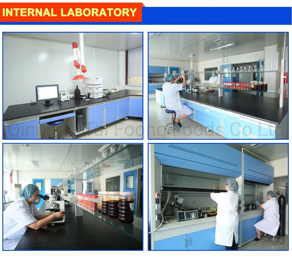 Chinese Supplier Offer Sweet Red Powder Chilli with Steam Sterilization