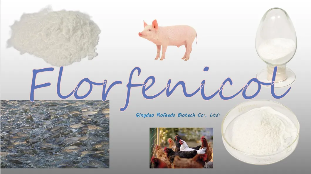 High Quality Feed Grade Florfenicol 10% Veterinary Medicine