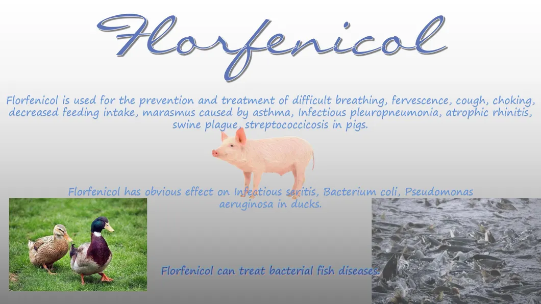 High Quality Feed Grade Florfenicol 10% Veterinary Medicine