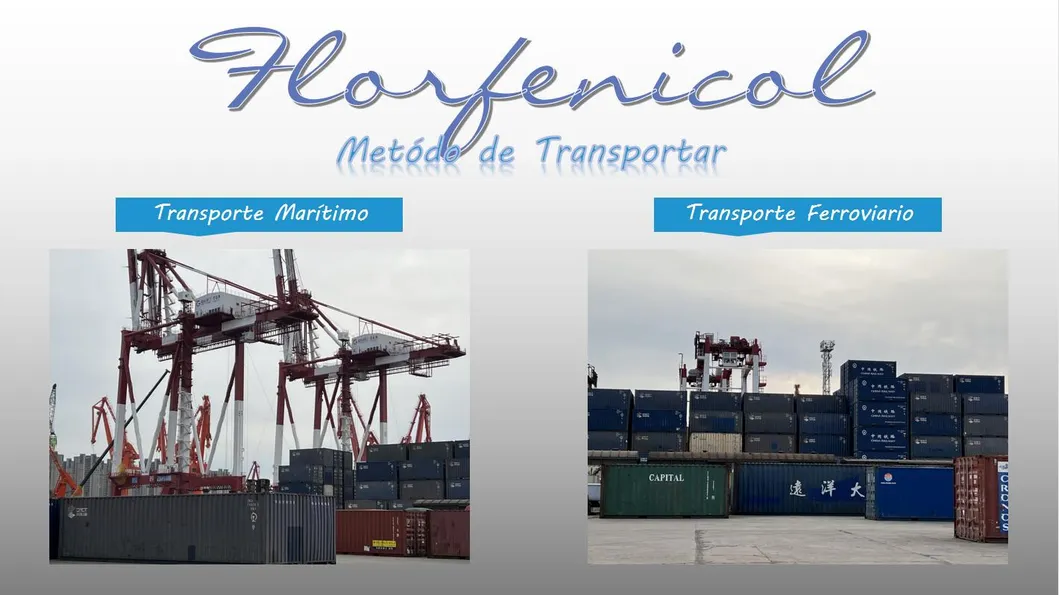 High Quality Feed Grade Florfenicol 10% Veterinary Medicine