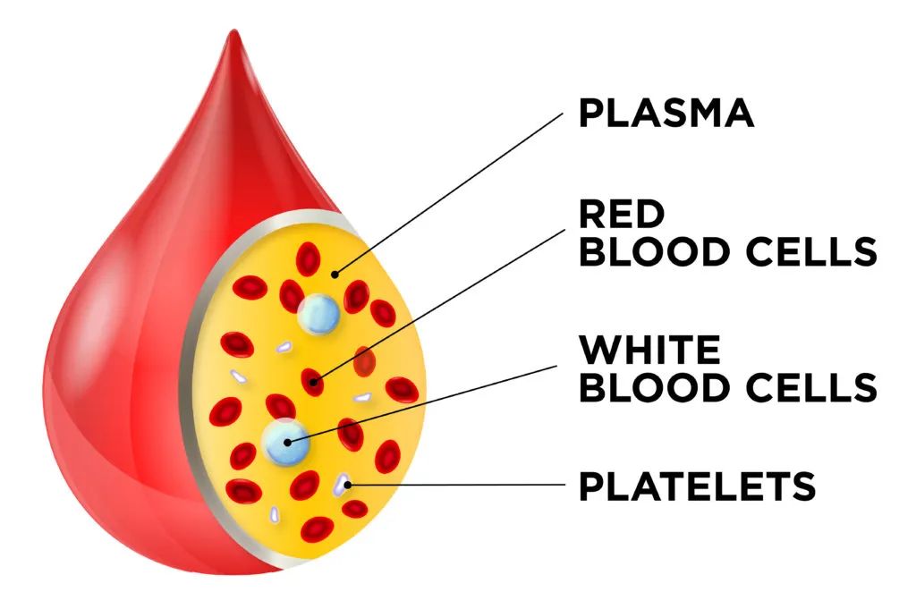 Spray Dried Plasma Protein for Animal Feed Petfood
