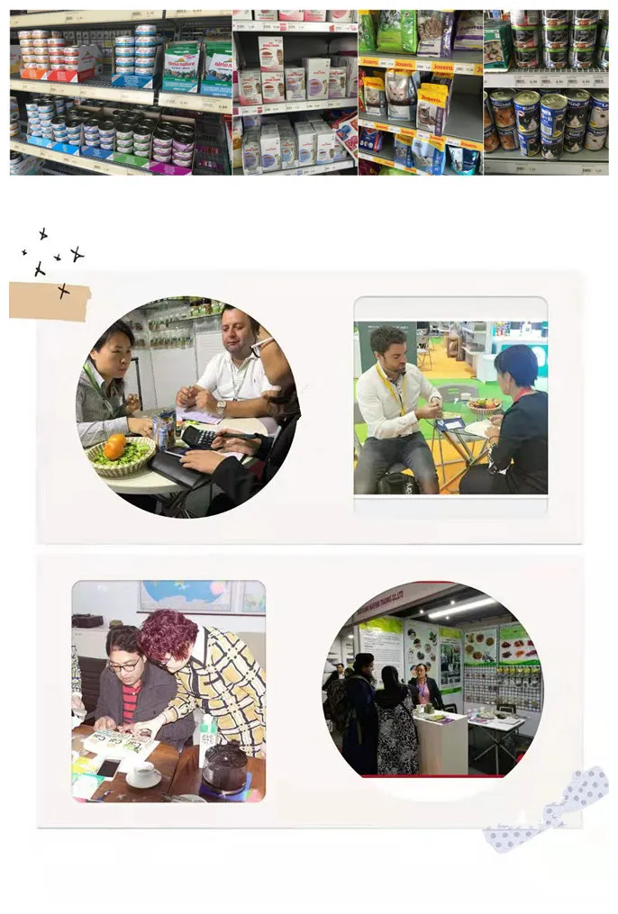 Different Flavor Dog Food Best Quality Food for Dog/Cat High Protein Food