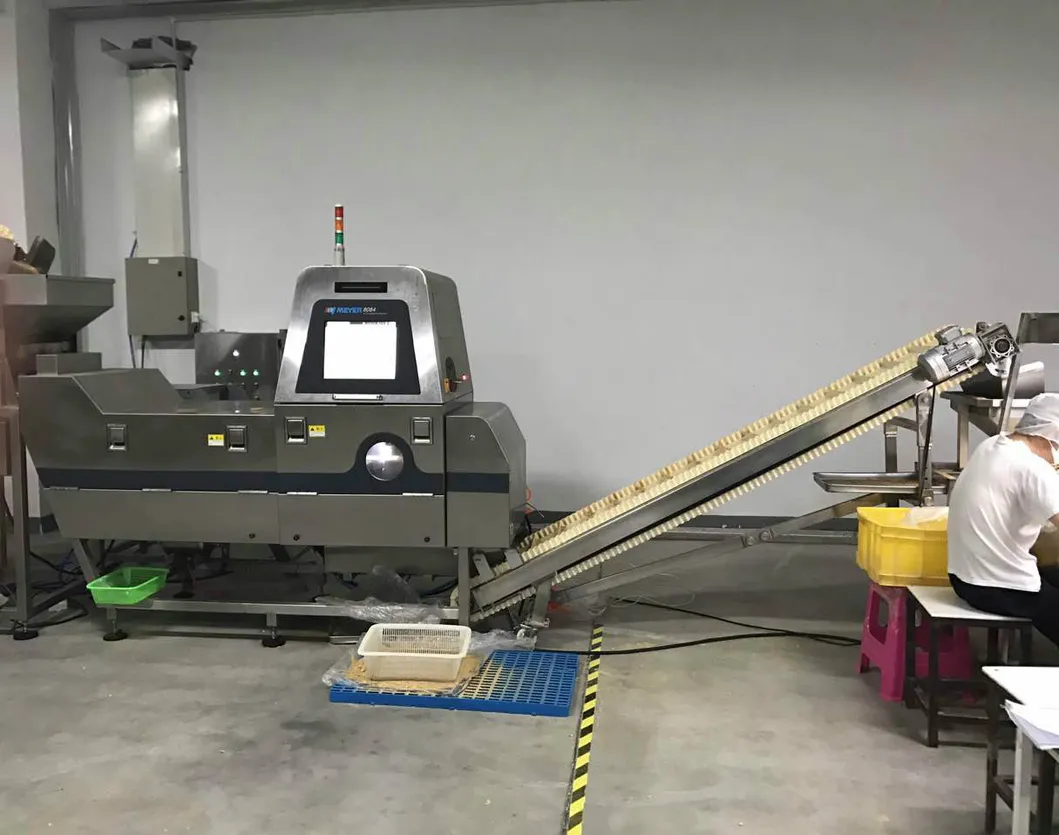 Wasabi Flavor Coated Fired Broad Bean Chips with Halal